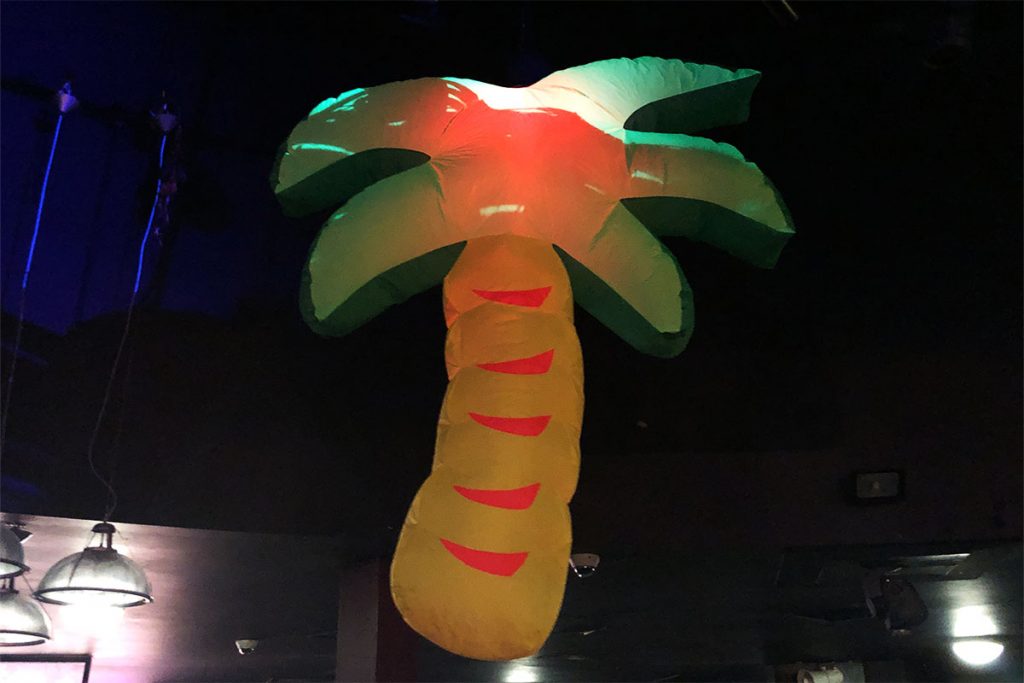 inflatable palm tree target